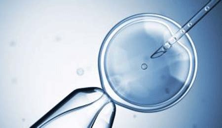 促排卵和试管哪个成功率高