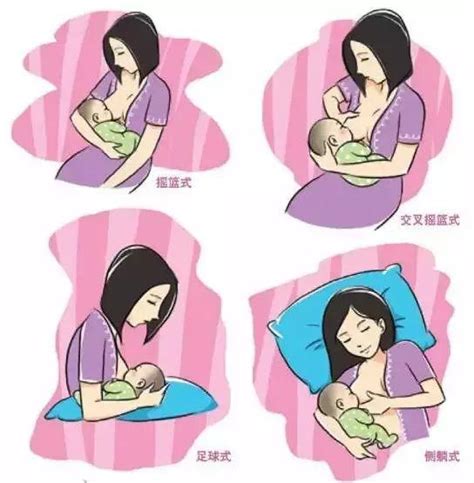 哺乳