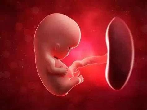 怀孕b超检查没有胎心怎么回事