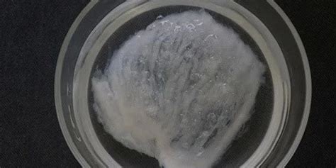 燕窝果口感怎样