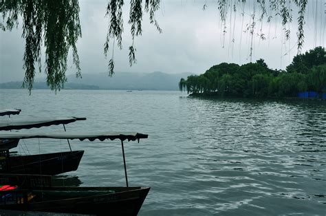 雨中游西湖800字(推荐5则)