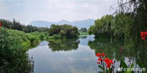 请问这是昆明滇池哪个公园,谢谢