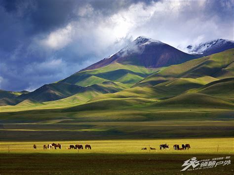 新疆南行有哪些景点？