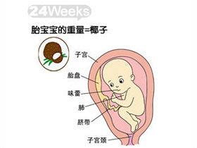 怀孕6周吃什么好对胎儿好