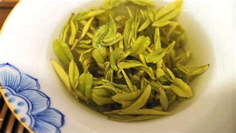 茶葉口味分類