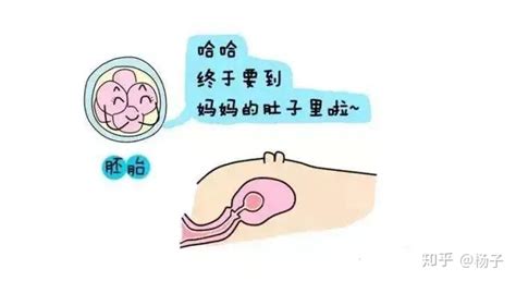 怀孕10天会腰酸痛吗