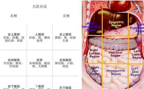 男性小腹突然刺痛像针扎