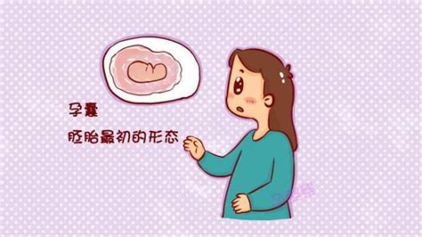 通过孕囊大小判断怀孕天数准吗