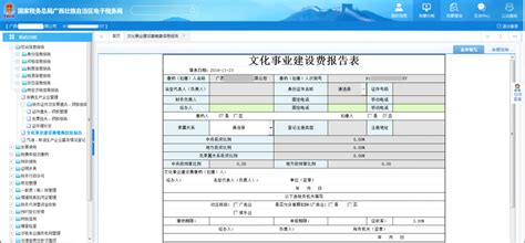 购金税盘软件及交纳的服务费可全额抵缴税费，抵缴的账务如何处理?