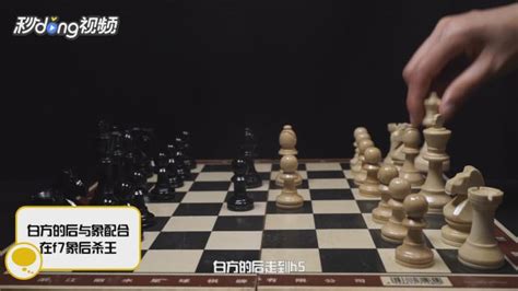 请推荐一款国际象棋人机对战的软件.