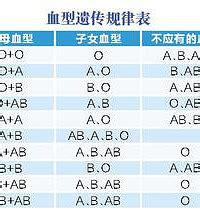 遗传与血型 父母血型遗传孩子的规律