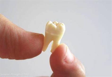 孕早期生女孩的胎梦