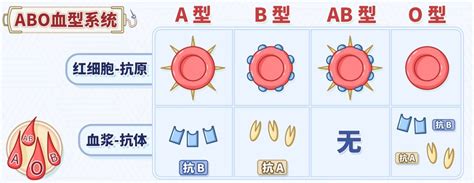 o型血生出小孩容易溶血