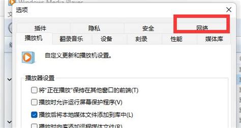wmp 可以播放哪些格式的视频?