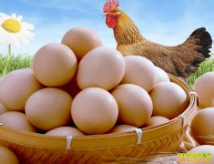 今日鸡蛋价格早知道「鸡蛋今天的价格」