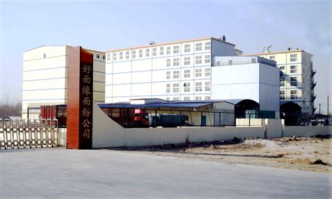 河北省大名縣五得利面粉廠的具體位置