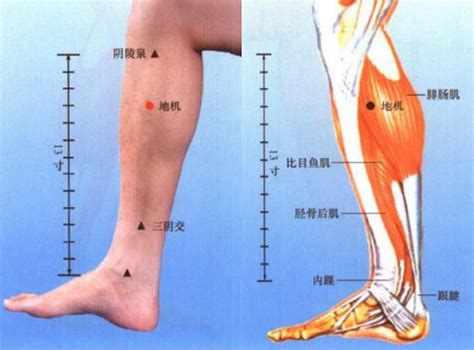 常吃三样东西腿脚有劲