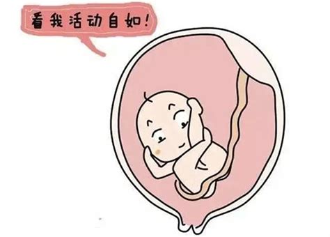 怀孕31周臀位还会转成头位吗