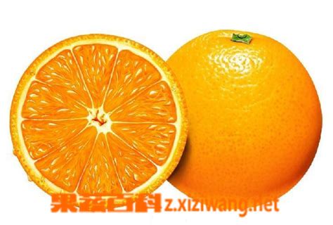 咳嗽时能不能吃橙子