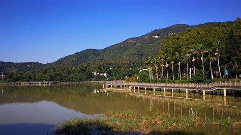 海湾国家森林公园攻略