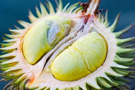 我喜欢的一种水果[共8则]