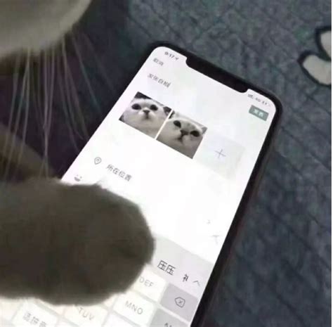 朋友圈发大肚照说说句子
