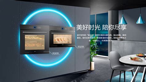 誰清楚嵌入式蒸箱哪個牌子好的