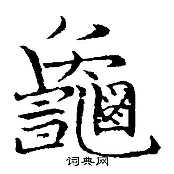 乌龟记-写物作文300字(共计6篇)