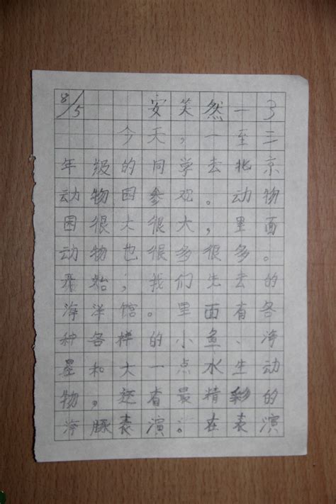 一个微笑-日记作文300字[共计7篇]