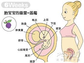 受孕一周的症状有哪些?