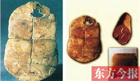 贾湖文化遗址在哪?