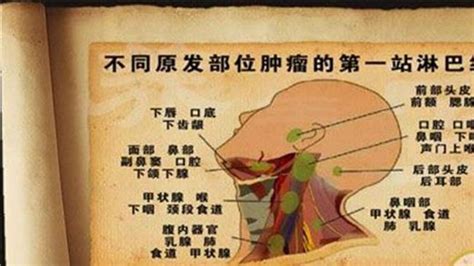 耳后淋巴结肿大吃什么药消除