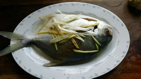 請同金昌魚是海魚嗎謝謝