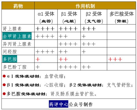 孕期皮肤差
