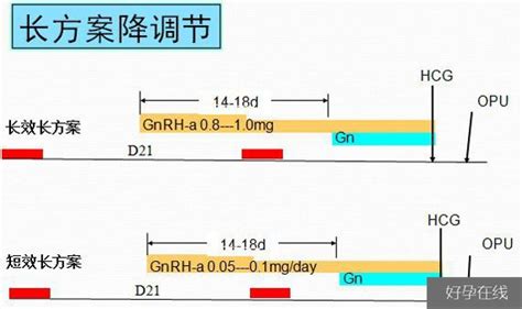 好孕经验症状分享