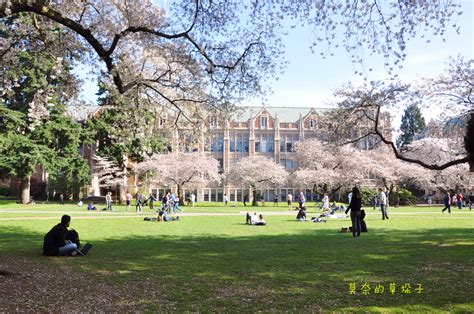 华盛顿大学圣路易斯和西雅图有什么区别