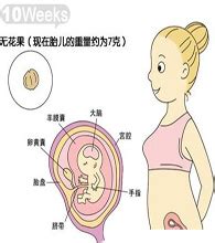 怀孕1到10个月孕妇变化