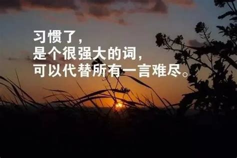 撒贝宁鸡汤语录励志[集锦67段]