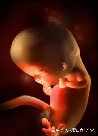 怀孕22周胎儿真实图
