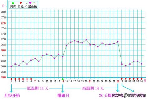 排卵13天hcg大于5