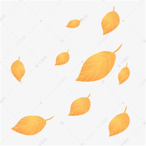 飘零的落叶说说