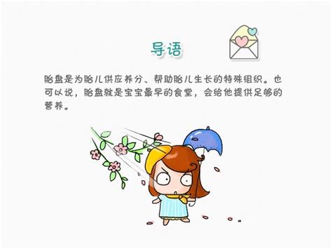 胎盘分级是什么意思二到三级