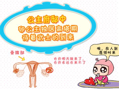 卵子是什么样的