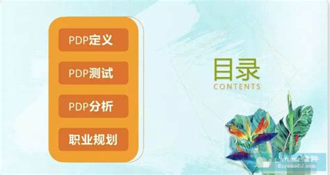 office所有文件格式变成vvv