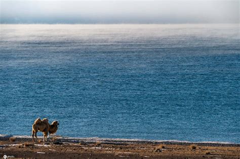 赛里木湖——大西洋的最后一滴眼泪