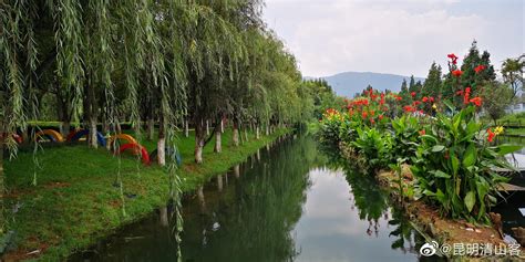 昆明滇池国际城市湿地公园的建成后的公园特点