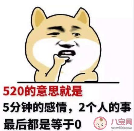 欣赏荷花发朋友圈幽默句子