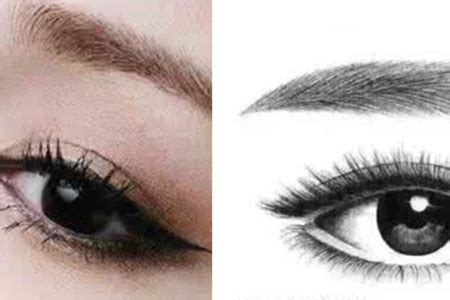 《给你一双明亮的眼睛》点评（推荐4篇）