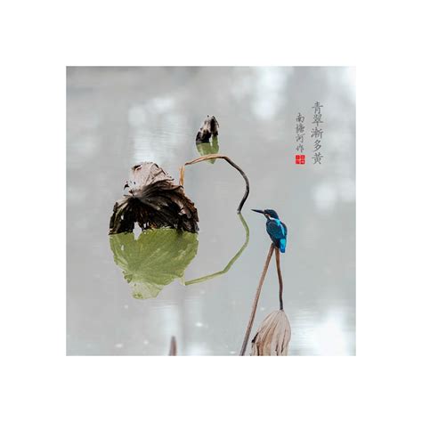雨声（共7则）