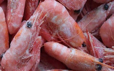 北极野生甜虾多少钱一斤?